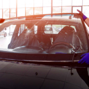 Windscreen Fitment Industry